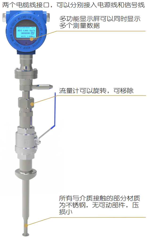 煙氣熱式氣體質(zhì)量流量計結(jié)構(gòu)圖