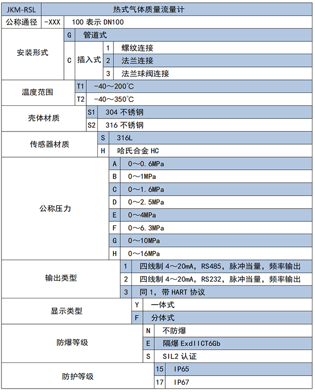 DN20熱式氣體質(zhì)量流量計選項表